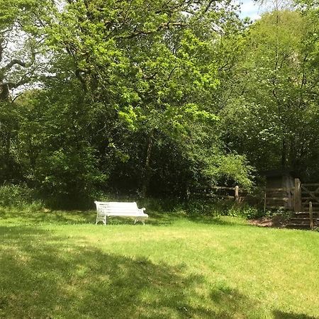 Peaceful Cottage, Close To Coast & Moor Parracombe Екстериор снимка